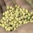 The Future Of Food (Video)