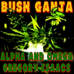 Read Review/Watch Video